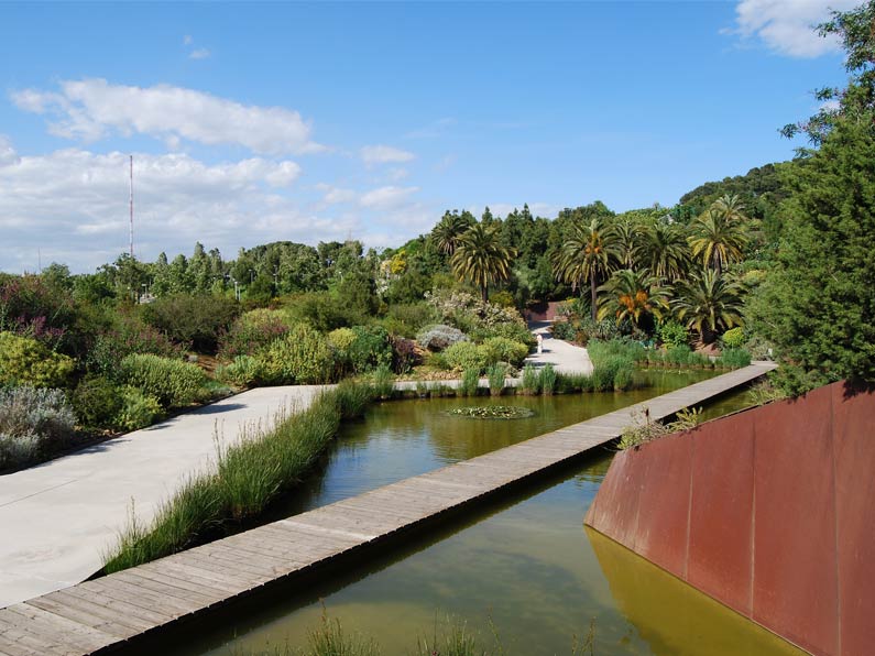 Jardi-Botanic