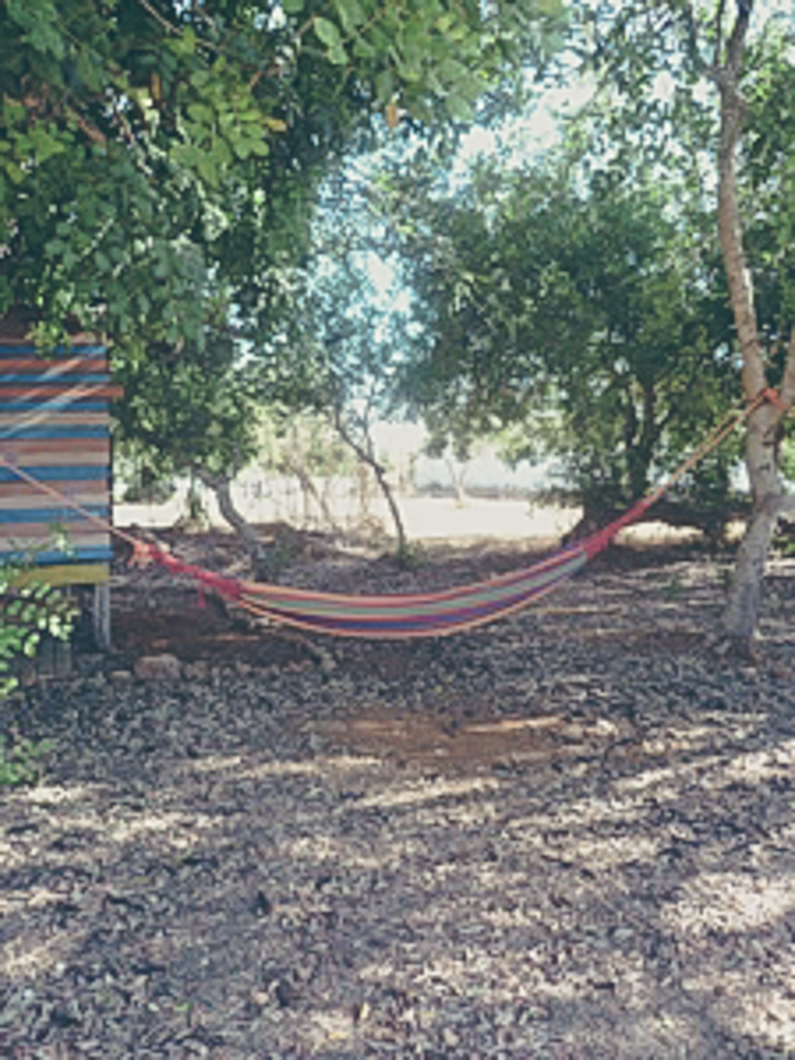 Logeren bij Belgen in de Algarve