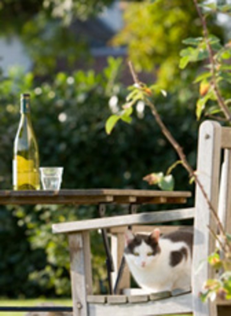 domainelesgandins-4