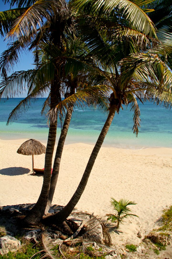 007dspapaya_playa_kopie_0