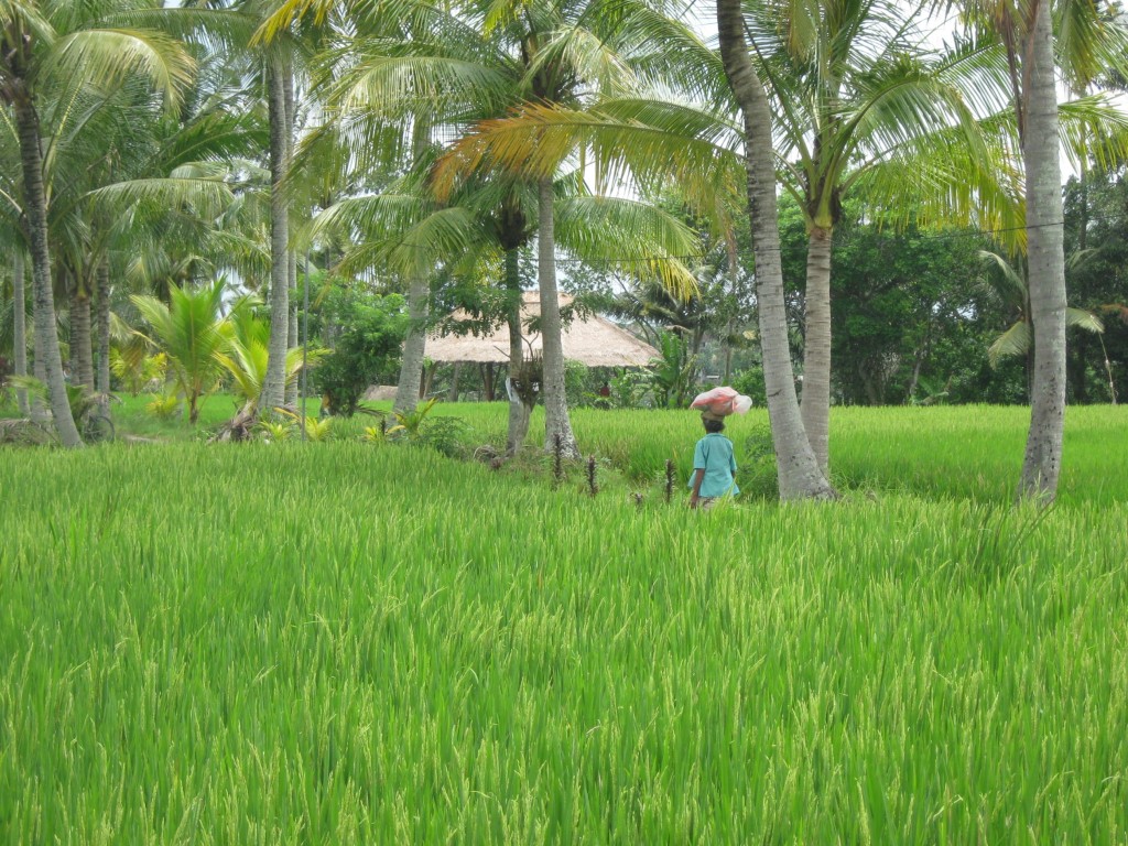 IMG_1837
