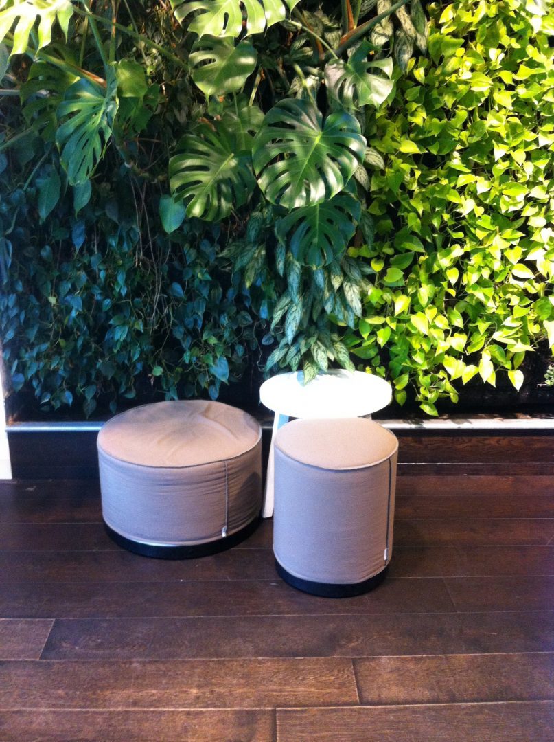 conscious hotel vondelpark amsterdam 2