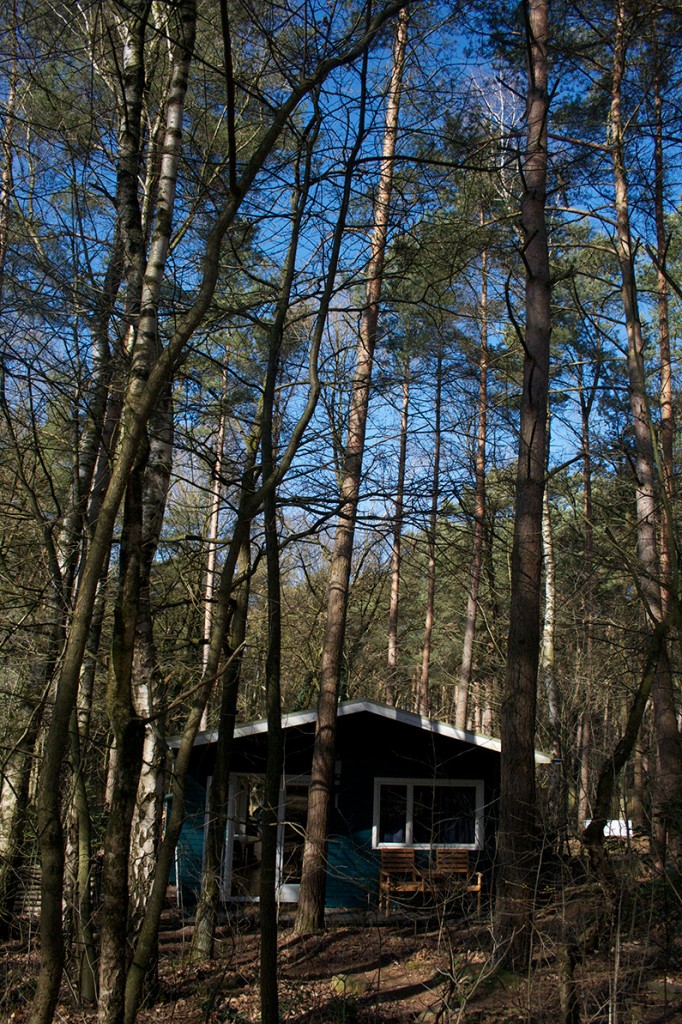 IMG_4713