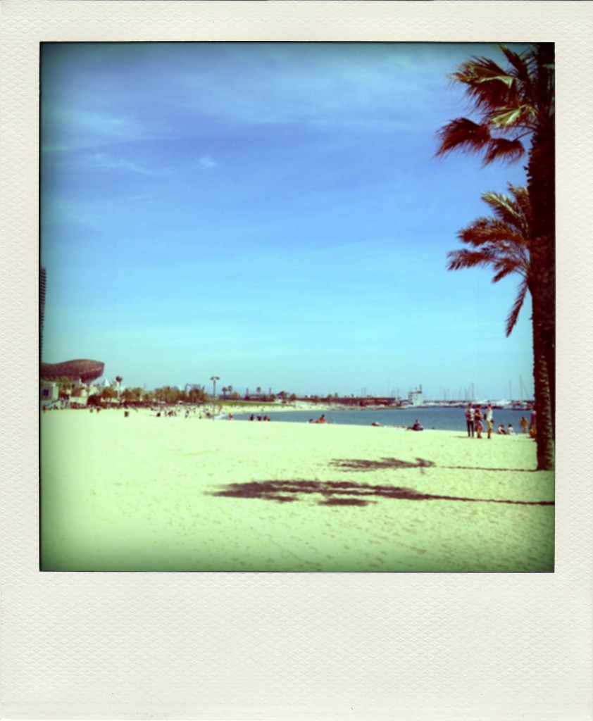 IMG_7996-pola