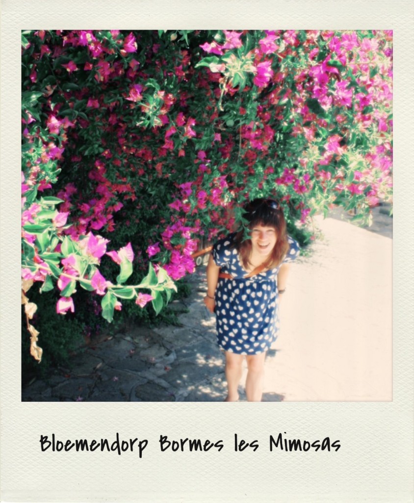 bormes-les-mimosas-provence