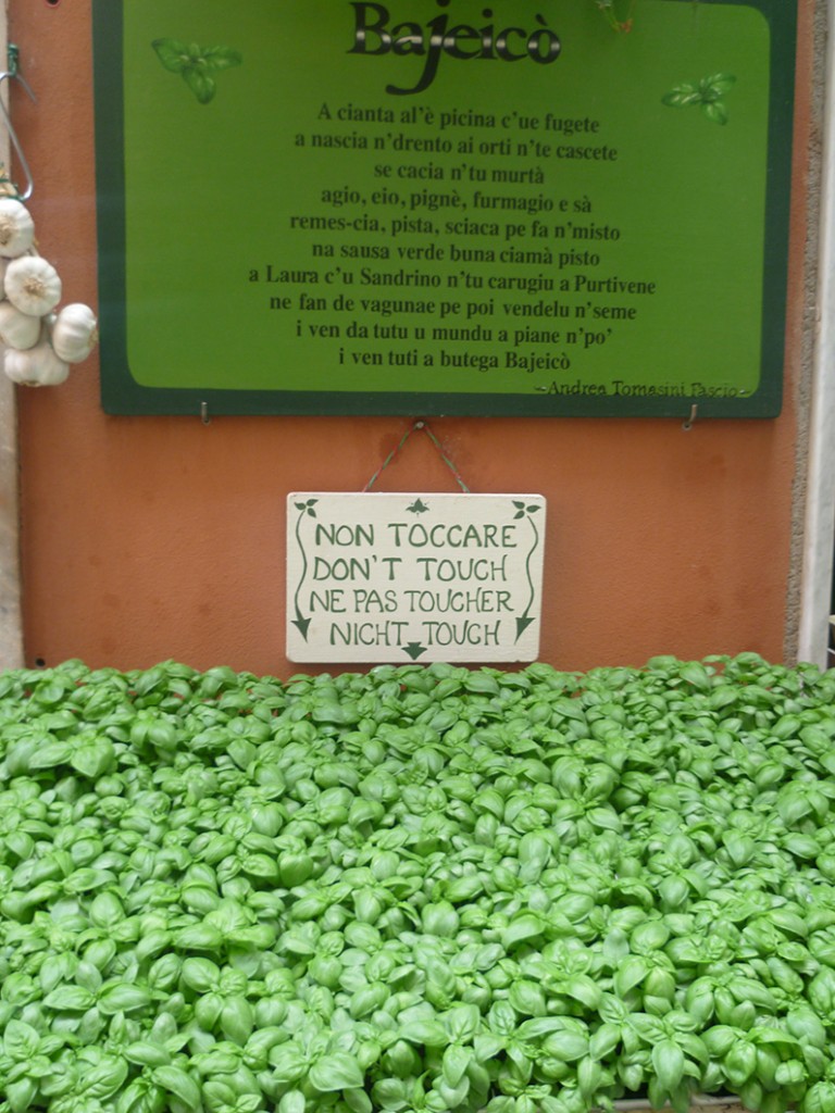 pesto portovenere