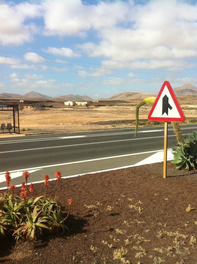 Fuerteventura