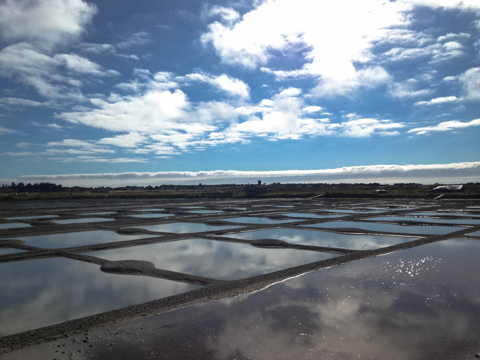 noirmoutier zout