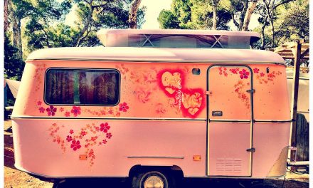 100 % hippie