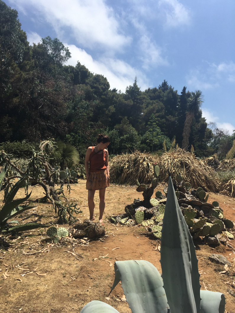 botanische tuin lokrum