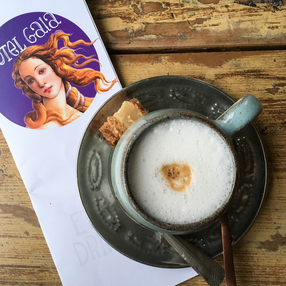 hotel gaia deventer