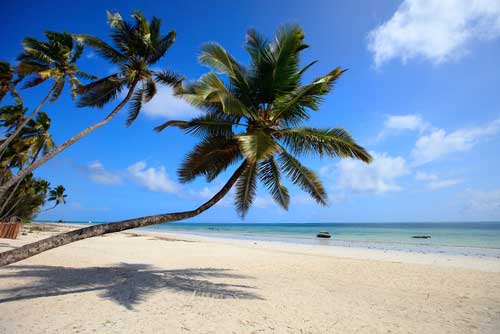 Winterzon op Zanzibar