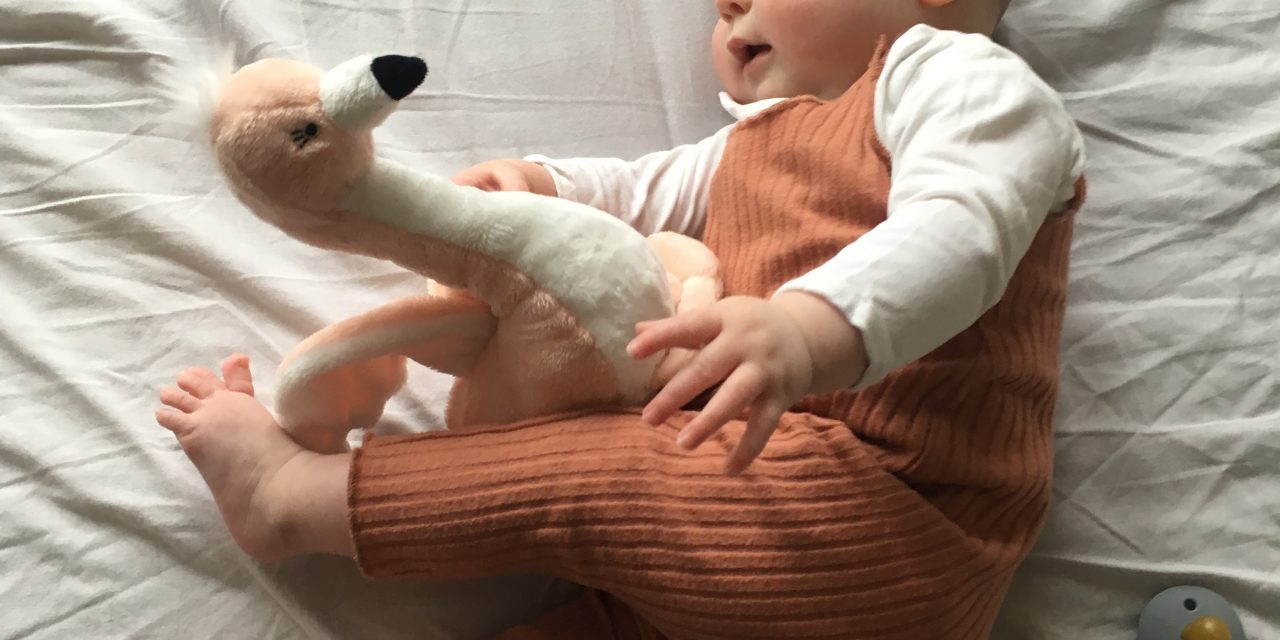 Binnenkijken in onze (kleine ) babykamer