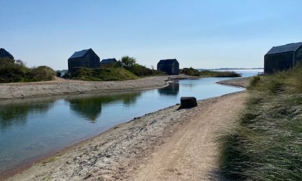 Eco huisje op het Zeeuwse strand